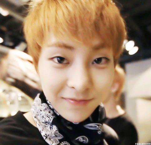 엑소 늑미때 시우민 온 머글들 쓸어담은 이유 그냥 짤로 설명해줄게 | 인스티즈