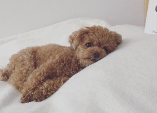 ㄱ 요송러 하다하다 이런 사진보고 웃고잇음 | 인스티즈