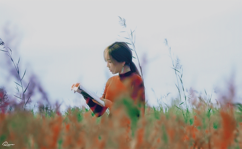 아이돌 팬들 때문에 국적 뺏긴 작곡가.... | 인스티즈