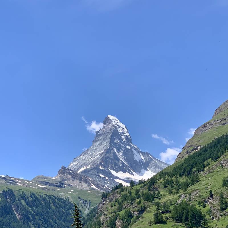 🇨🇭스위스에 있는 동안 찍은 거🇨🇭 | 인스티즈