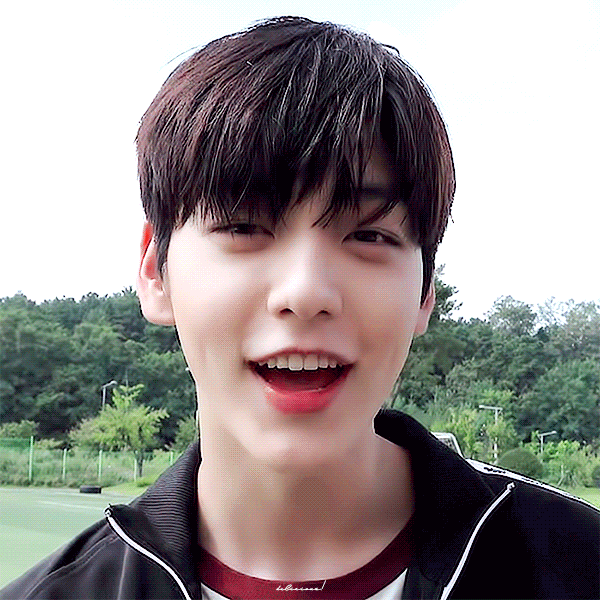 우리 애 마카롱도 보고가세용 | 인스티즈