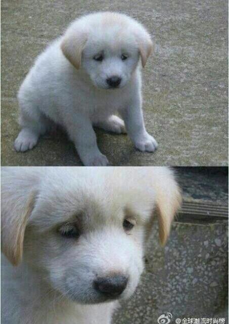 ㄱ 요송러 하다하다 이런 사진보고 웃고잇음 | 인스티즈