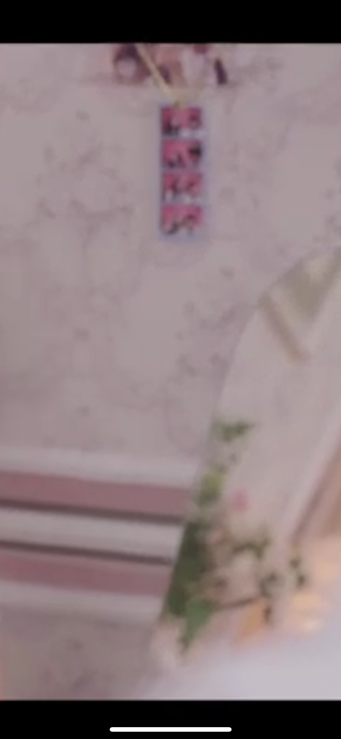 단오 방에있는 인생네컷 누구랑 찍은 걸까 새미는 아닌 것 같은데,, | 인스티즈