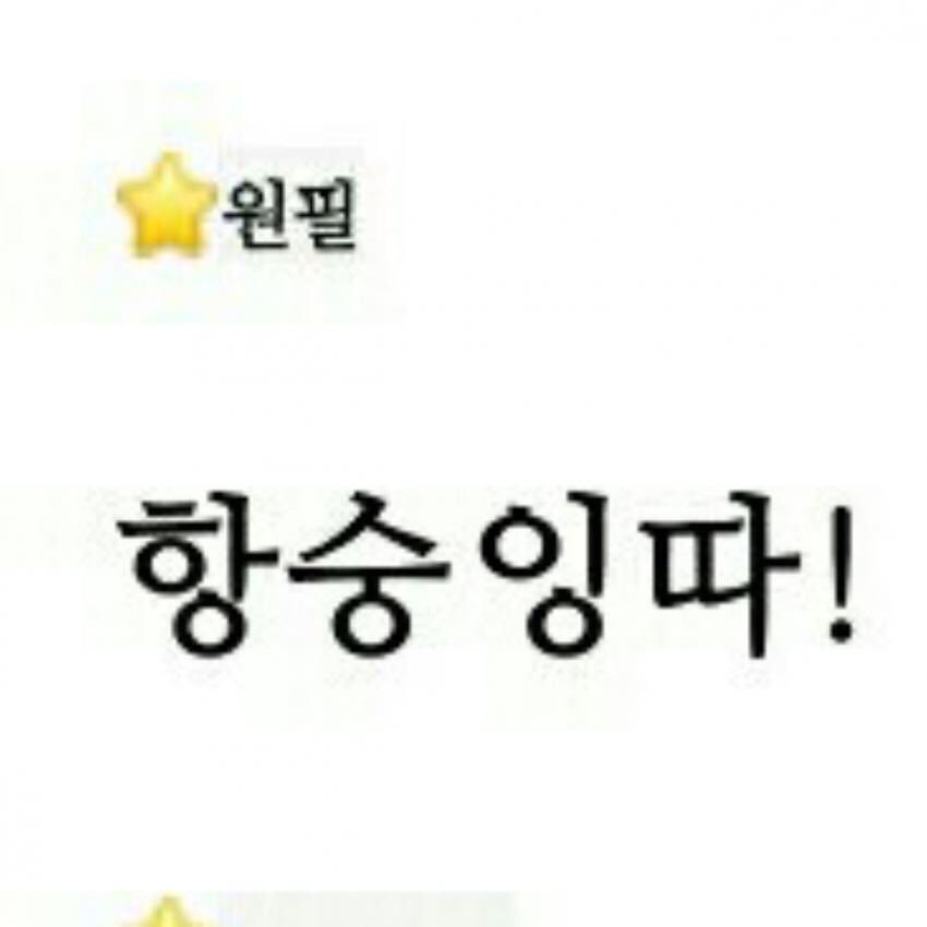 누가 데이식스 원필의 성격을 물어본다면 이거 하나로 설명가능 | 인스티즈