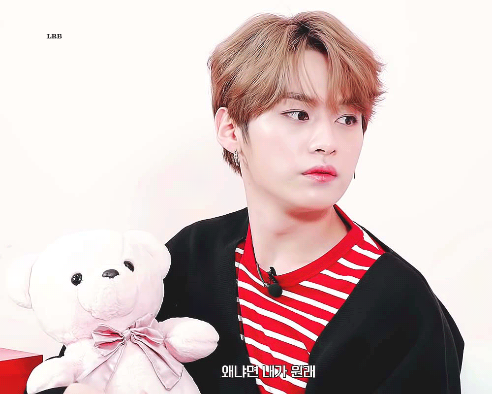 오늘 생일자 리노는기여어 | 인스티즈