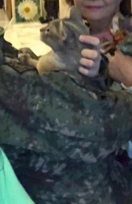 지디 고양이도 지디 오랜만에 보나봐 ㅋㅋㅋㅋ | 인스티즈