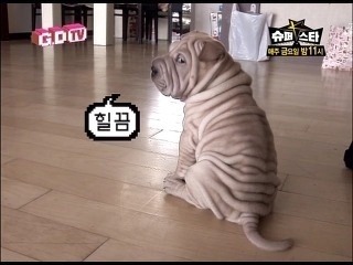 지디에겐 아이 이전에 가호가 있었G | 인스티즈