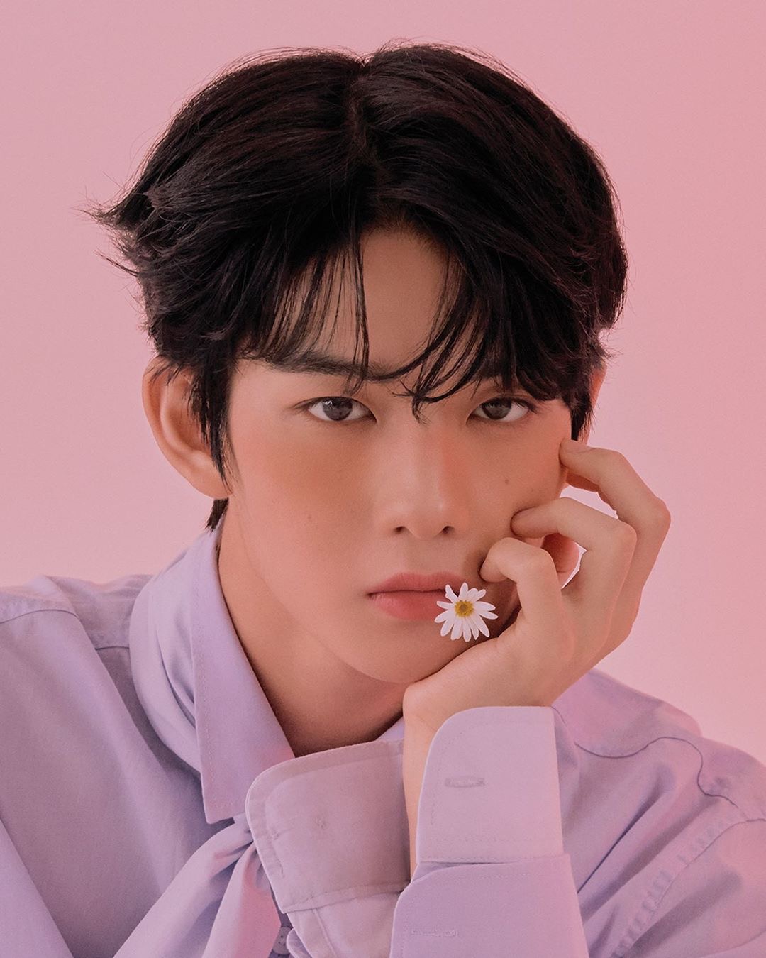 cix 배진영 화보 넘 좋아 | 인스티즈