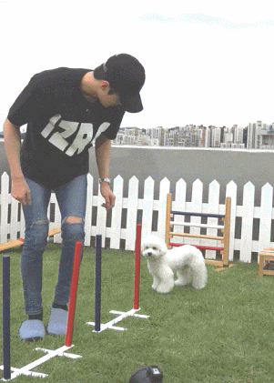 헐 나도 팬아저 | 인스티즈