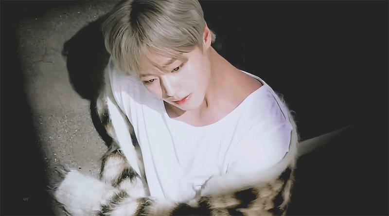 박지훈 싱글즈 영상 너무 잘생겨서 방금 찐으로 눈물 흘릴뻔 함ㅋㅋㅋ | 인스티즈