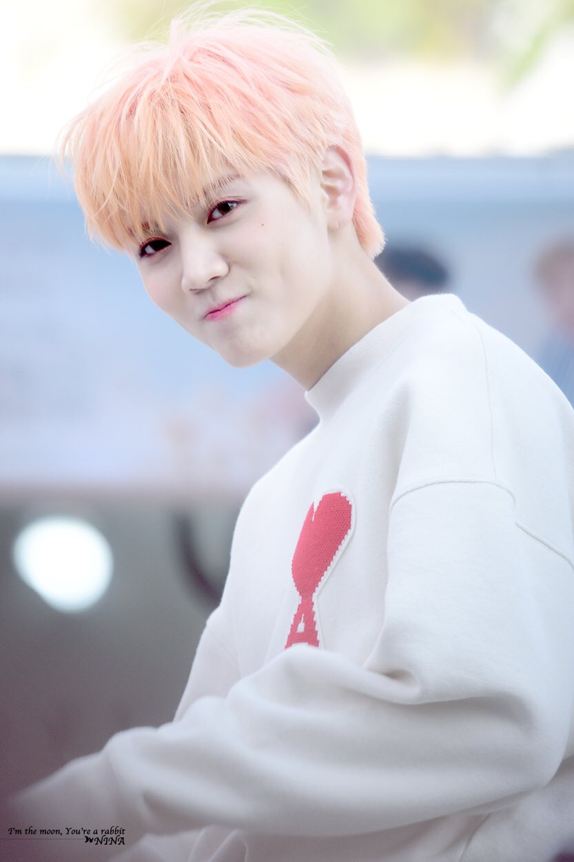 뉴이스트 최민기 토끼아닌거같음 | 인스티즈