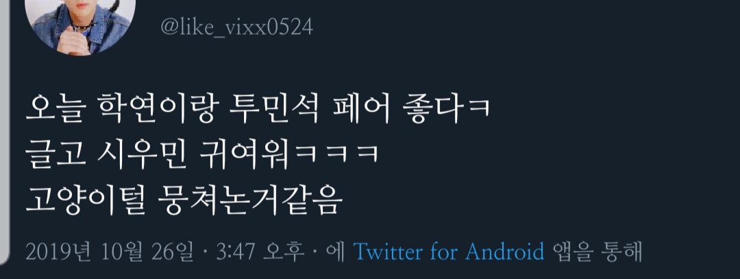 타팬:시우민 고양이털 뭉쳐놓은거 같음 | 인스티즈