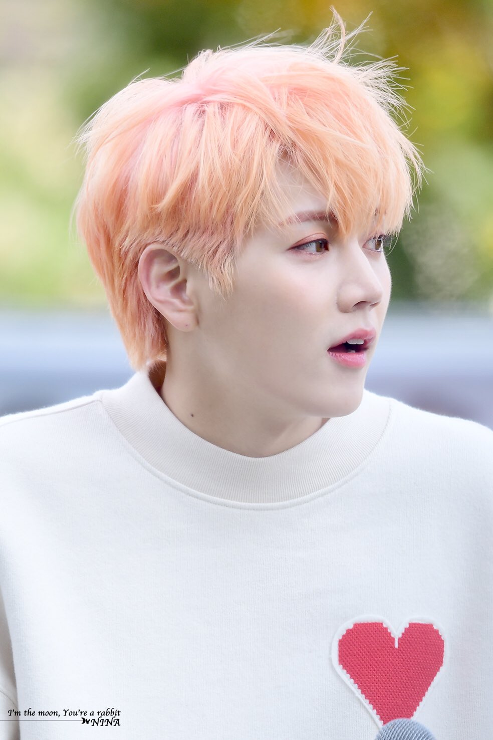 뉴이스트 최민기 토끼아닌거같음 | 인스티즈