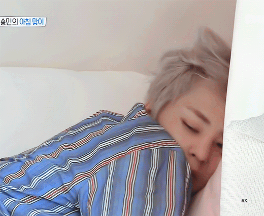 타팬:시우민 고양이털 뭉쳐놓은거 같음 | 인스티즈