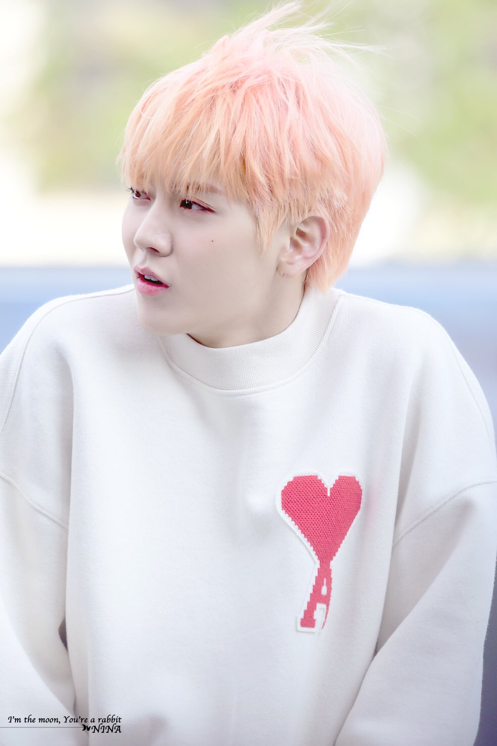 뉴이스트 최민기 토끼아닌거같음 | 인스티즈