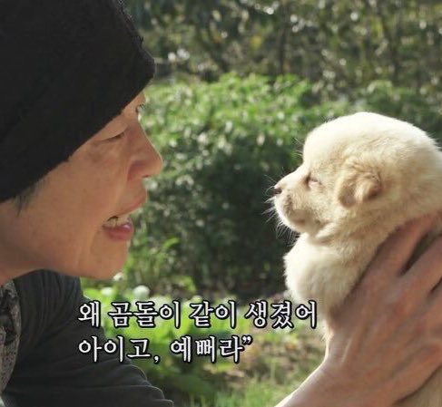 본진에 곰돌이 있는 사람들 이 짤 주워가삼 | 인스티즈