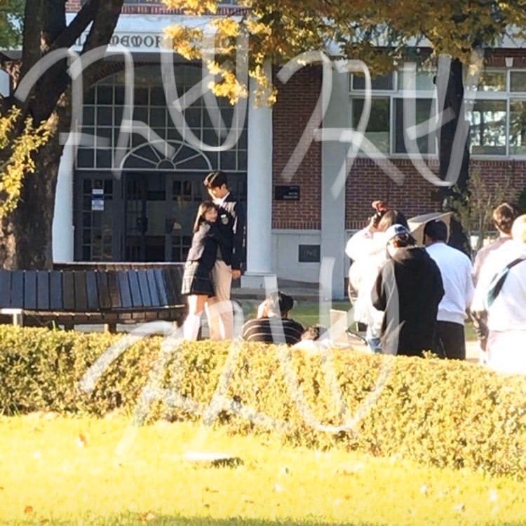 아 어하루 목격사진 너무 귀여워ㅋㅋㅋㅋㅋㅋ (ㅅㅍㅈㅇ) | 인스티즈