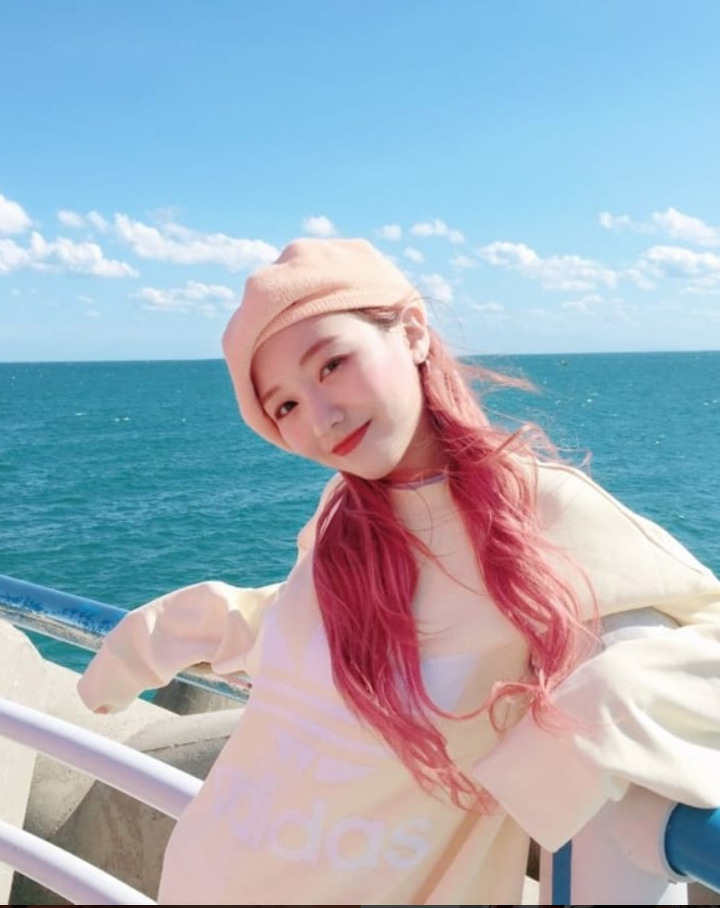 와 럽리 팬들 진짜 너무하다 | 인스티즈