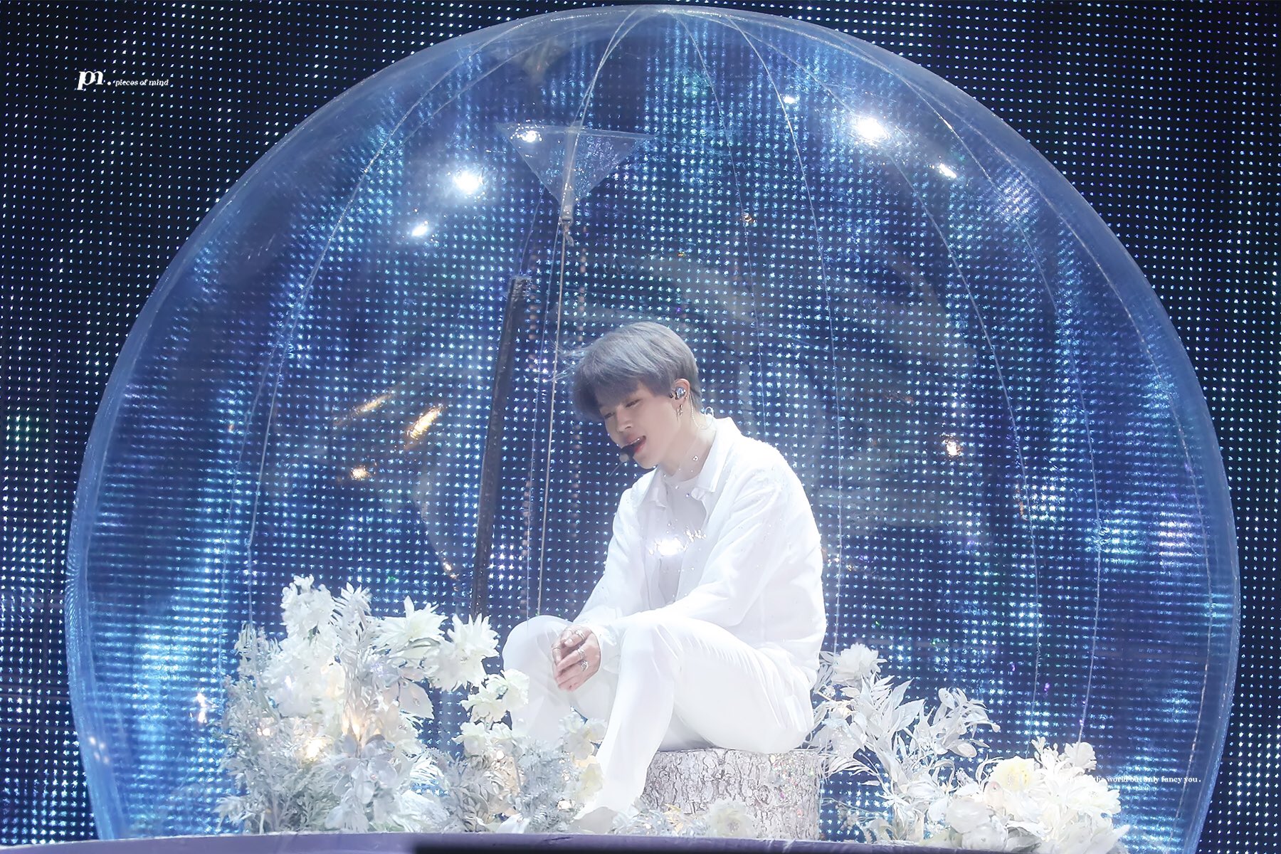 오늘 방탄 구오즈 보고가... ㅅㅍ | 인스티즈