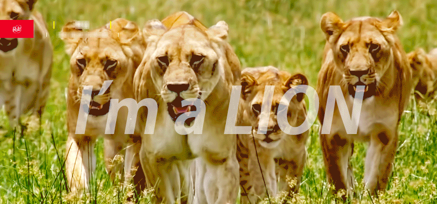 아이들 lion 아깝다... | 인스티즈