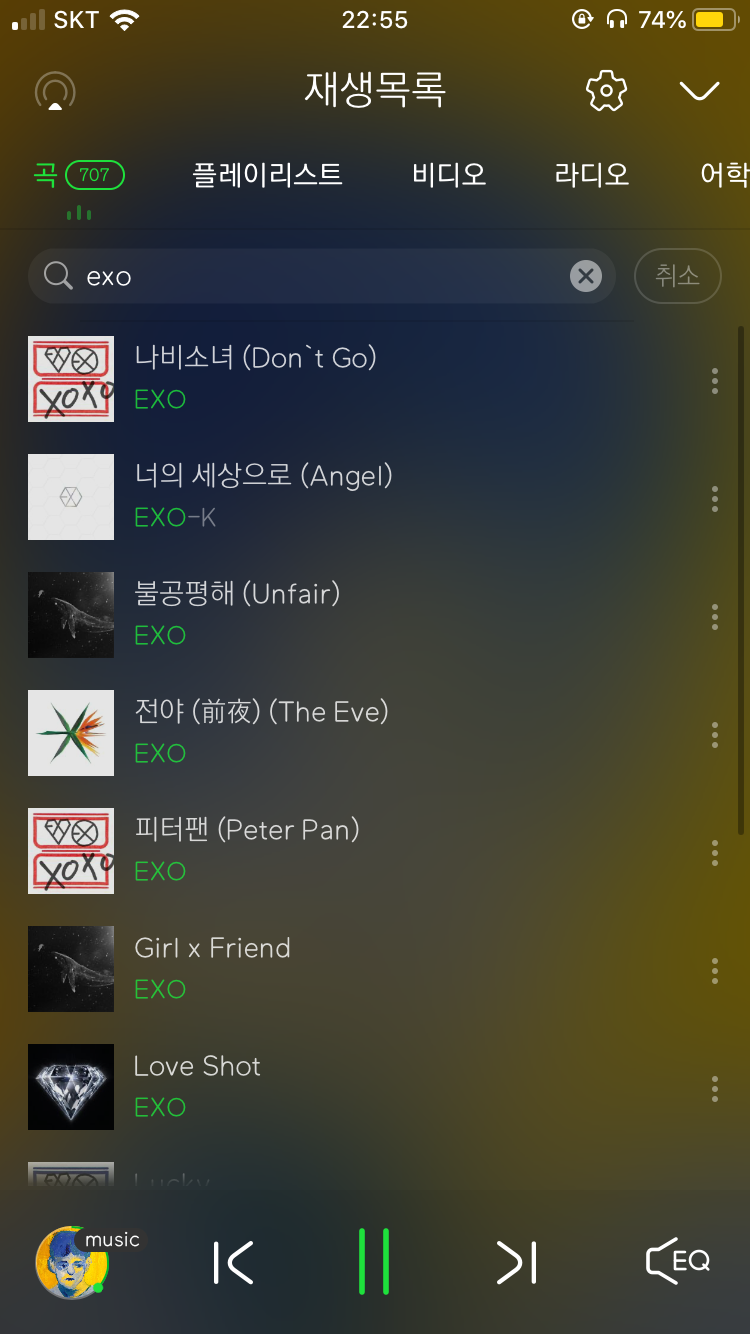 모야앙 엑소플이여? 타팬 재생목록에 있는 엑소 노래들 | 인스티즈