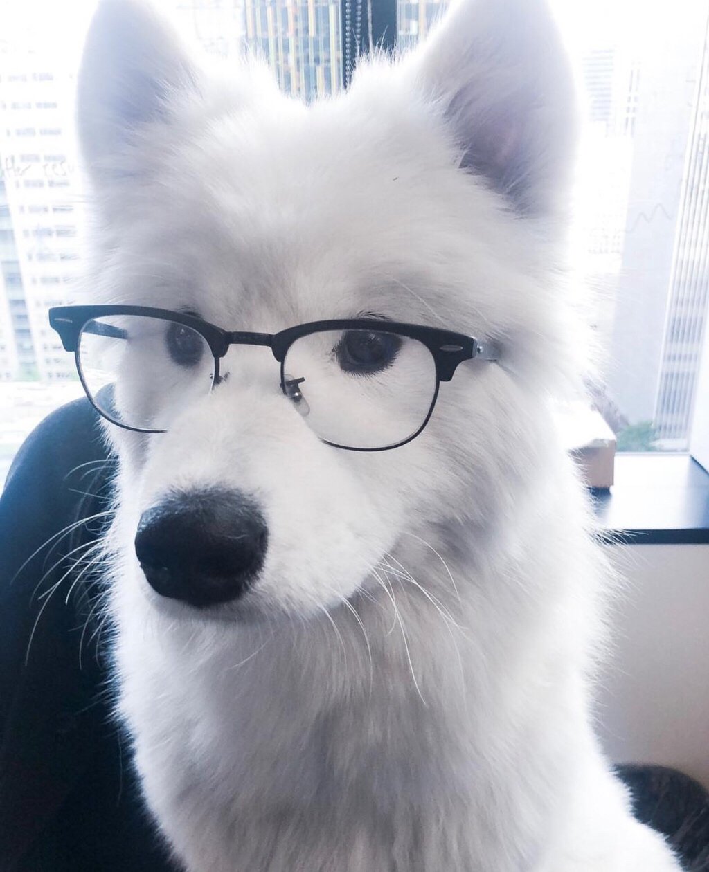 제노야 잘자 | 인스티즈