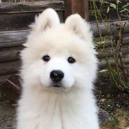 제노야 잘자 | 인스티즈