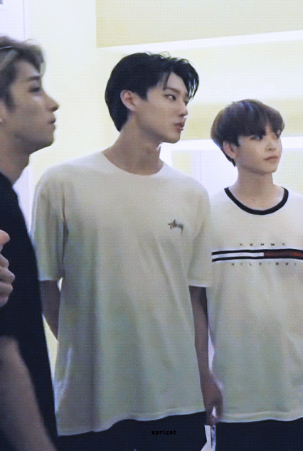 나도 완식 3짤 | 인스티즈