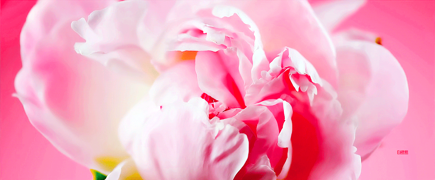 보고 있으면 홀리는 여돌 짤들 모음💗💕 | 인스티즈