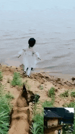 무조건 힐링되는 댕냥이짤털 | 인스티즈