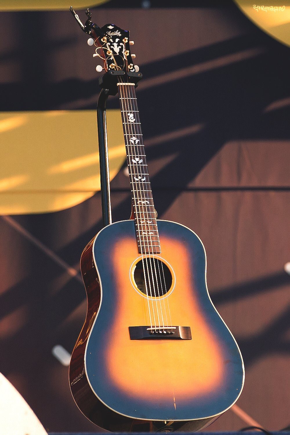 주인 잘만나서 아이돌급 대우받는다 | 인스티즈