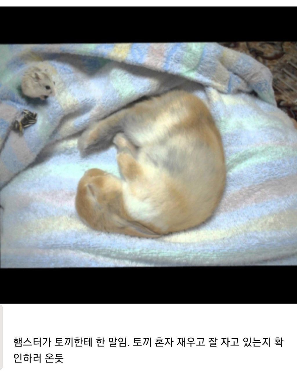 이 짤 본진으로 보면 누구같아??ㅋㅋㅋㅋㅋㅋㅋㅋㅋㅋㅋㅋㅋ | 인스티즈