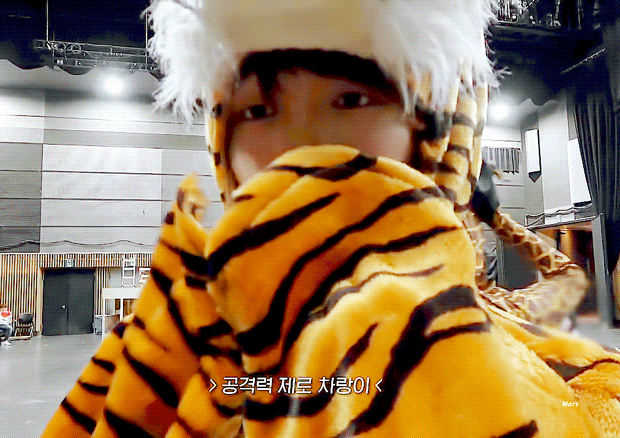 차준호는 브이앱 어디쯤이야 | 인스티즈