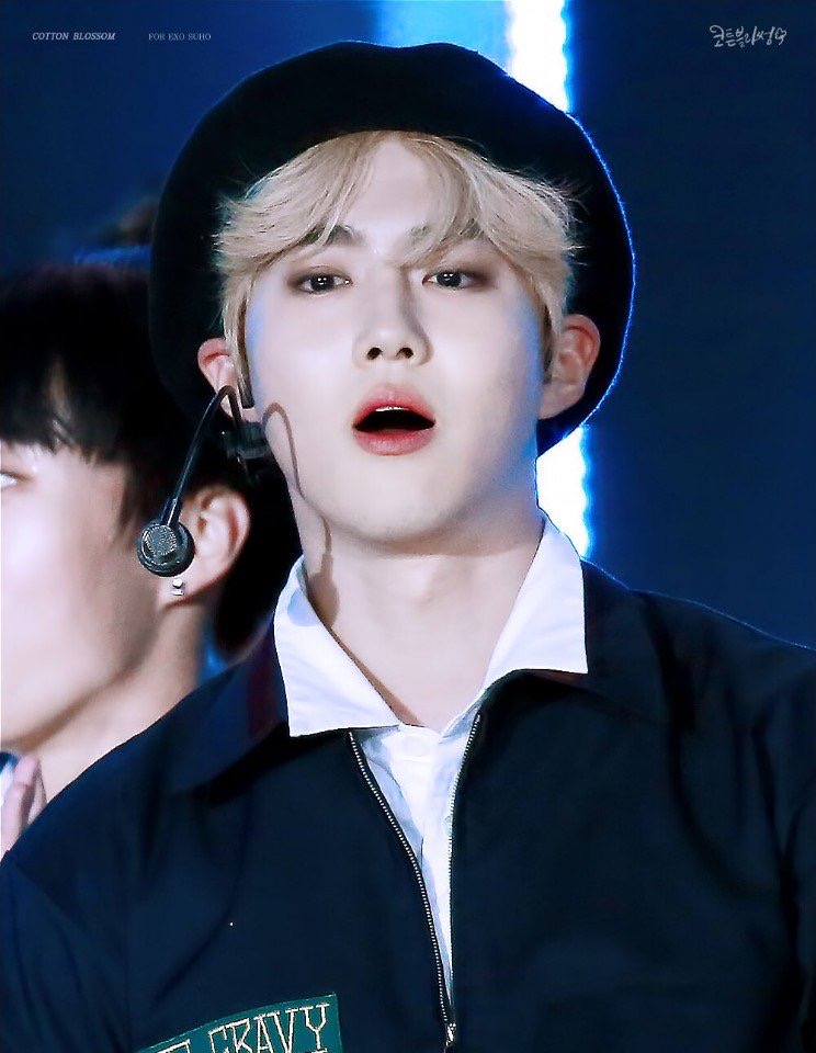 엑소 수호 들튀 | 인스티즈