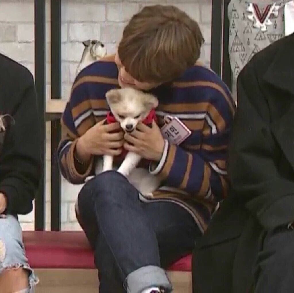 방탄 지민 댕댕이 안기 전후 | 인스티즈