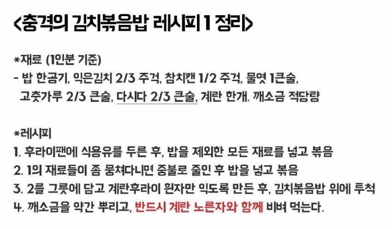 2004년에 올라와서 아직도 끌올되는 "충격의 김치볶음밥" | 인스티즈