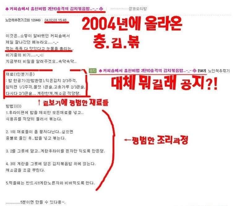 2004년에 올라와서 아직도 끌올되는 "충격의 김치볶음밥" | 인스티즈