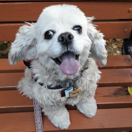 한국은 춥다면서요 40 | 인스티즈