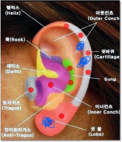 피어싱 자리 추천해주라!! | 인스티즈
