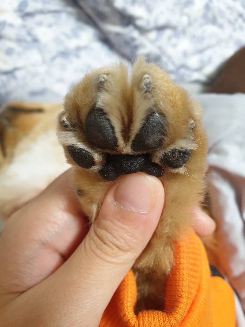 🐻곰발이다🐻 | 인스티즈