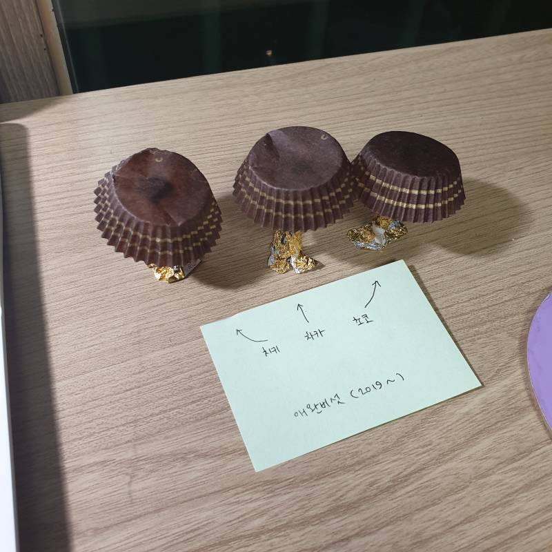 익들아 내 애완버섯 보고 가!!!🍄 | 인스티즈