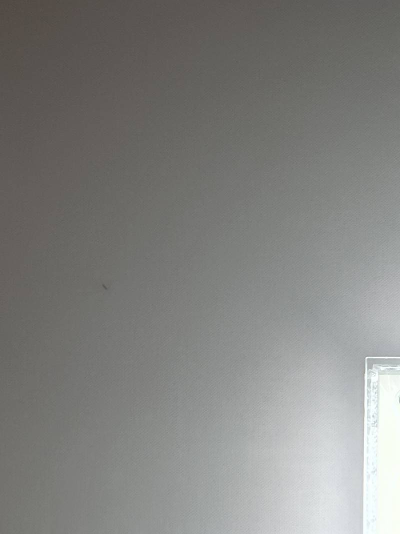 아직도 모기가 있네 | 인스티즈