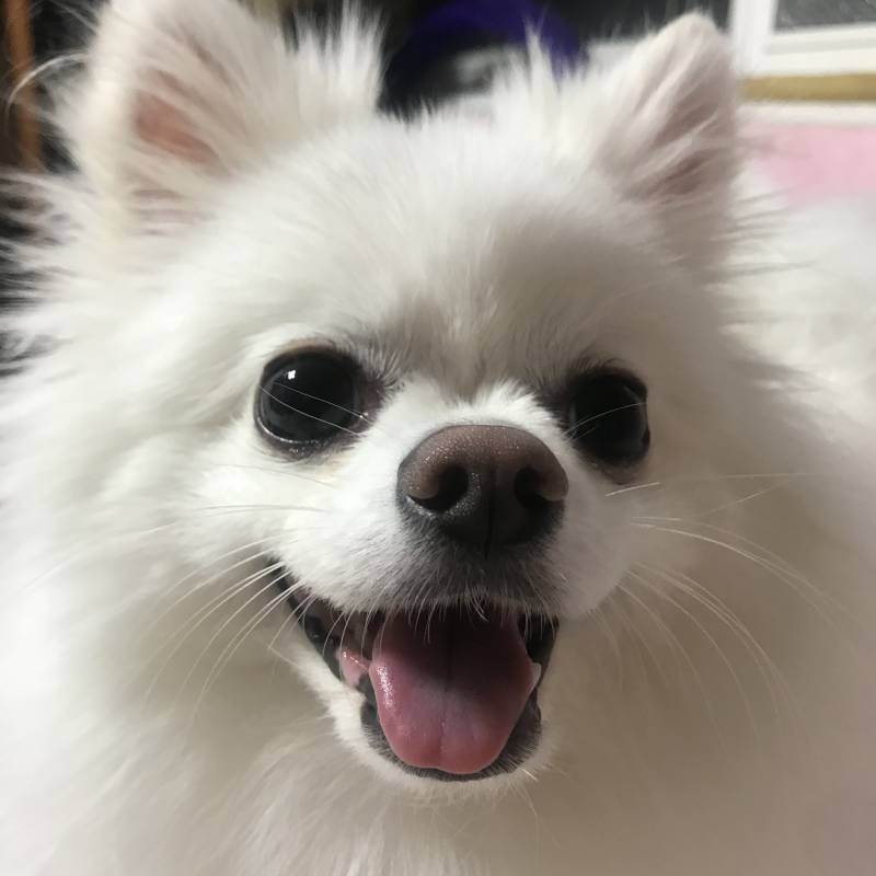 아니 얘는 날 왜이렇게 쳐다보는 거야!!!!! 진짜로!!!!!!!! | 인스티즈