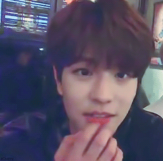 [잡담] 내가 좋아하는 강아지들 뉴종현 백현 승민 | 인스티즈