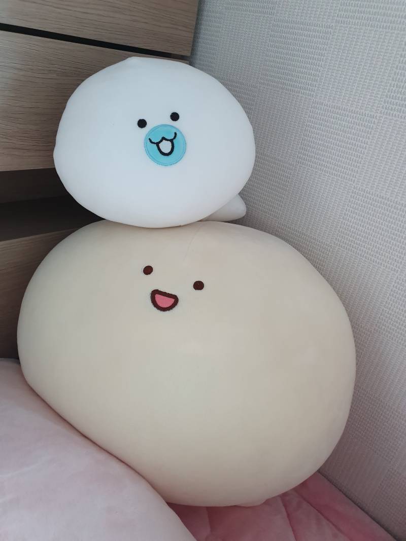 내 침대에 사는 동글이 2마리 40 | 인스티즈