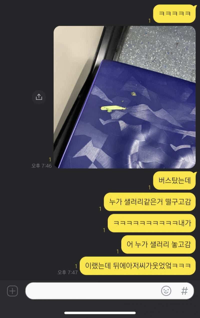 서울익 비엄청와서 버스탔는데 샐러리같은거 ㅋㅋㅋㅋㅋ있음 | 인스티즈