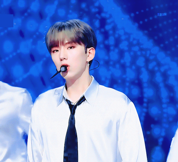 우리 딴딴쥐..상어.. 보고싶다 | 인스티즈