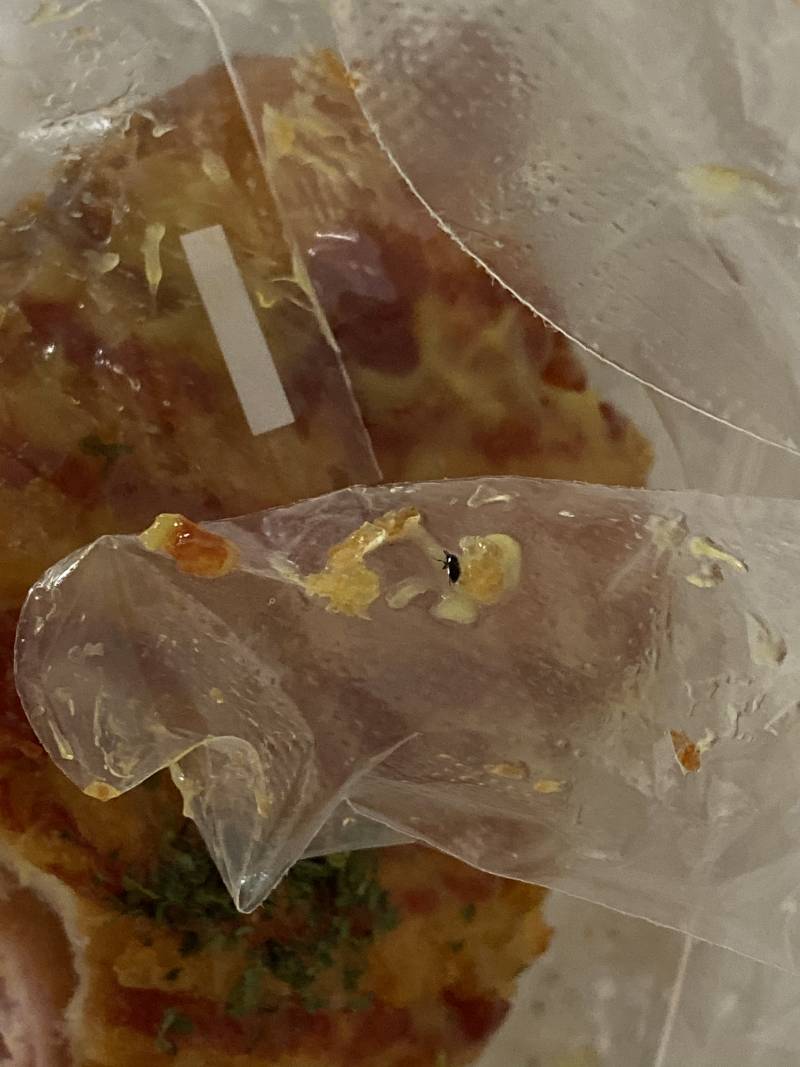 빵 먹다가 빵에서 벌레 나왔어 (혐오주의) | 인스티즈