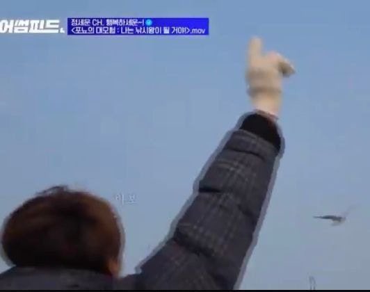 지금 저화질 올리는 시간이야? 저화질 4컷 | 인스티즈