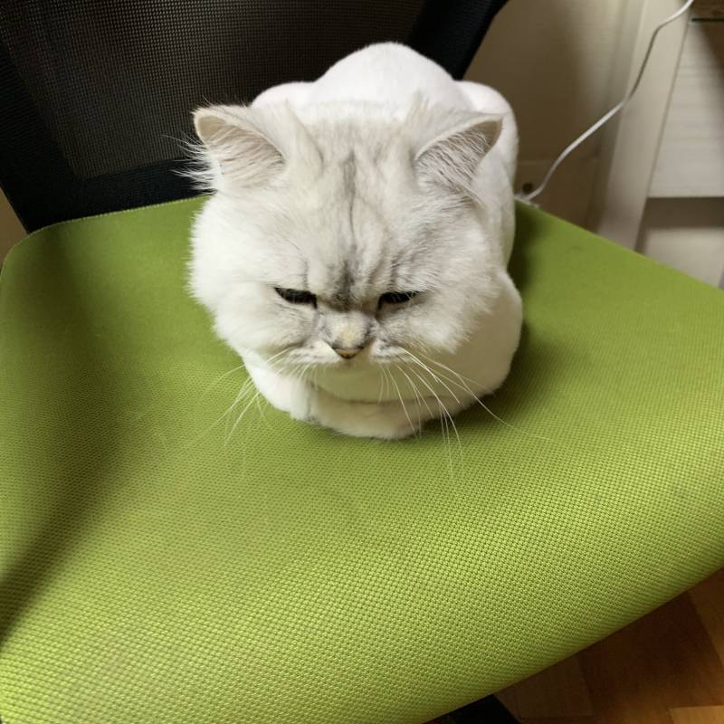 아니 나 의자에 앉아서 일해야 되는데 미치겠네 40 | 인스티즈